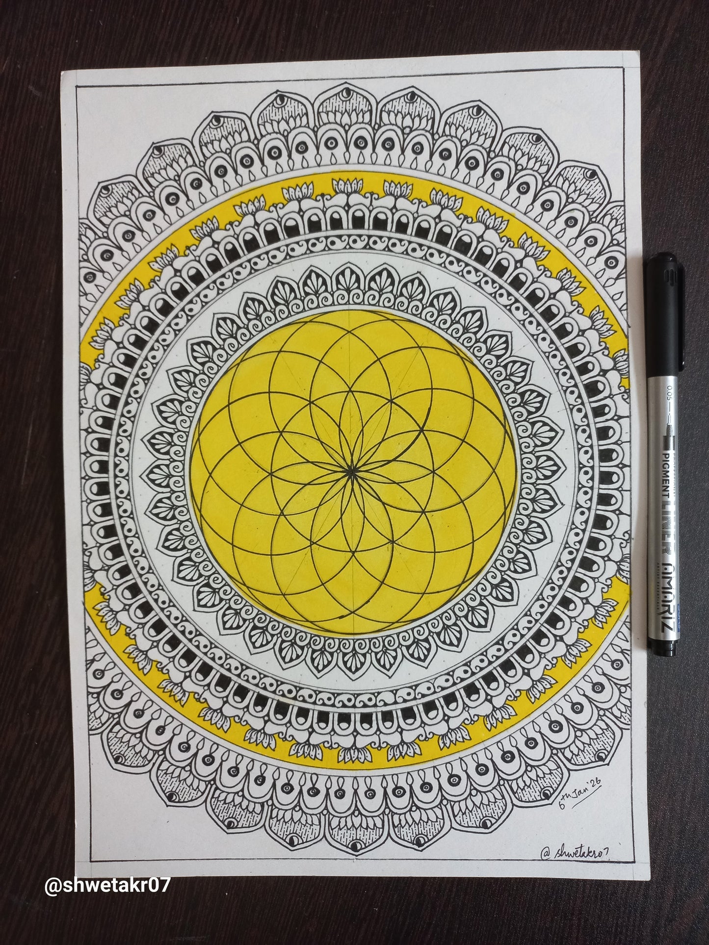 Torus Mandala
